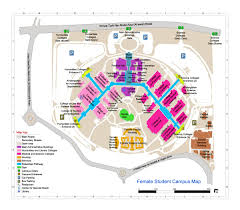Перевод слова campus, американское и британское произношение, транскрипция, словосочетания, примеры использования. Maps Female Students Campus