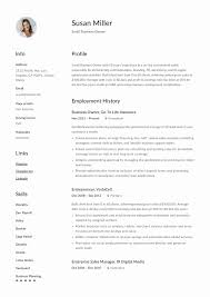 Small Business Owner Resume Unique Small Business Owner Resume Guide 12 Examples Pdf In 2020 Resume Guide Retail Resume Examples Resume Examples