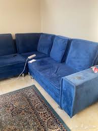 مباشرة حيوانات أليفة عميق كنب مع سجاد Ballermann 6 Org