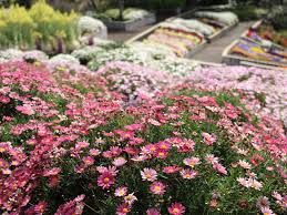 ニューヨークランプミュージアム＆フラワーガーデン | 伊東園ホテル別館【公式サイト】伊東温泉旅行 - 伊東園ホテルズ