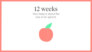 12 Weeks Pregnant Symptoms Tips And More