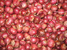 Tertarik untuk menanam bawang merah sendiri di belakang rumah? Bawang Merah Wikipedia Bahasa Melayu Ensiklopedia Bebas