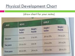 physical development ages 1 3 physical development