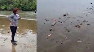 Jalur ini mudah buat di ikuti, banyak petunjuk jalanya kok. Susi Pudjiastuti Sedih Pantai Pangandaran Banyak Sampah Pengelola Ada Faktor Angin Kencang Tribunnews Com Mobile