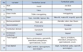 Jelaskan apakah yang membedakan antara kehidupan kelompok dan kehidupan komunitas? Jelaskan Apakah Yang Membedakan Antara Kehidupan Kelompok Dan Kehidupan Komunitas Jelaskan Apakah Yang Membedakan Antara Kehidupan Ikut Memberikan Suara Dalam Pemilu Bagi Yang Sudah Terdaftar Dalam Calon Pemilih Decorados De Unas