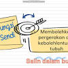 Sains tahun 5 sistem rangka manusia dan fungsinya. 1