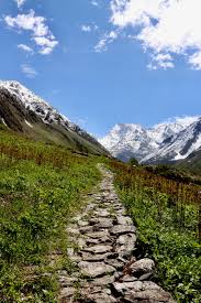Aug 19, 2011 · india is a favorite tourist spot and has picturesque hill stations. The Valley Of Flowers In Uttarakhand India A Little Off The Tourist Trail With Only 10 Foreign Travellers Spotted In The 11 Hour Bus Ride 2 Jeeps And 2 Days Hike It Took