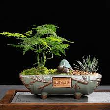 Indoor plants & plant pots. Chinese Style Succulent Plants Planter Ceramic Process Flowerpot Large Flower Pots Desktop Potted Holder Home Office Decoration Flower Pots Planters Aliexpress