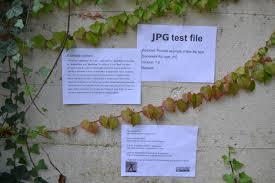 Jpg (jpeg image) is a lossy image compression format, compression method is usually lossy, based on the discrete cosine transform (dct), encodings include: Jpg Dateien Umwandeln