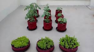 One can use terrace or land near house for vegetable or flower cultivation. Balcony Garden Kit Homecrop