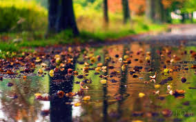 Maybe you would like to learn more about one of these? Rainy Season Hd Wallpapers Wallpaper Cave