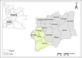 Image result for Gerardiina angolensis