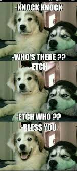 15 Animals Telling The Funniest Dad Jokes Funny Puns Dad Jokes Funny Dad Humor