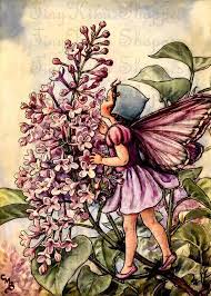 Lilac Fairy Vintage Cicely Mary Barker Art Print Fabric Block Iron On Heat Transfer Or Waters Flower Fairies Cicely Mary Barker Fairy Pictures
