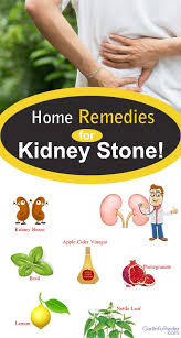 Home Remedies For Kidney Stone Home Remedies For Kidney Stone Home Remedies Kidney Stones Remedy Kidney Stones