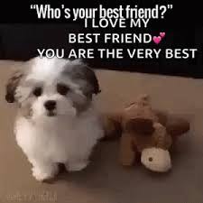 We did not find results for: Ilove My Best Friend Whos Your Best Friend Gif Ilovemybestfriend Whosyourbestfriend Bff Discover Share Gifs Love My Best Friend Best Friends Friends Gif