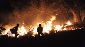 Instead of breaking students up into groups, take turns interviewing students yourself. 10 Strategies Firefighters Use To Fight Wildfires Mental Floss