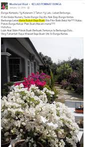 Ini sebagaimana apa yang dikongsikan oleh cikpooja ini. 10 Baja Teruji Dan Terbukti Mujarab Buat Pokok Kertas Gila Bunga Impiana