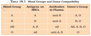Blood Blood Groups Formed Elements Pmf Ias