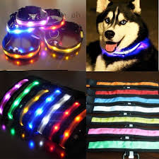 Hirsrian Clip On Pet 5pc 5batteries Pet Collar Light Dog Flash Collar Light Colorful Safety