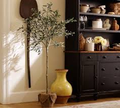 Faux Potted Olive Tree Pottery Barn Hmmmmm Tree Interior Tree House Interior Shabby Chic Interiors