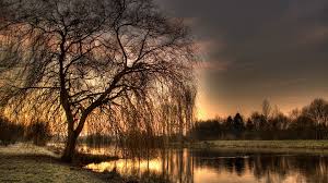 Duvarında derin bir manzara isteyen müşterilerimiz için en güzel manzara duvar posterleri burada. Tam Ekran Manzara Resimleri Duvar Kagitlari Yuksek Cozunurluklu Full Hd Doga Duvar Kagitlari