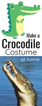 Turn a long narrow cardboard box into a crocodile head with this simple tutorial from evil mad scientist. Diy Crocodile Costume The Clock O Dile
