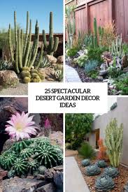 Garden design ideas for children. 25 Spectacular Desert Garden Design Ideas Digsdigs