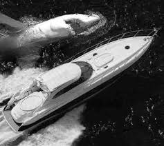 See more ideas about megalodon, megalodon shark, shark week. Megalodon Shark Sharks Animals Background Wallpapers On Desktop Nexus Image 61374