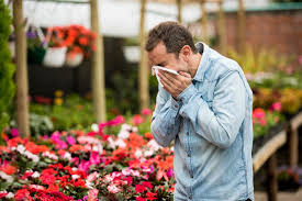 Here in this article, we have mentioned four best antihistamines for the treatment of allergies. Natural Antihistamines Top 5 Remedies For Allergies