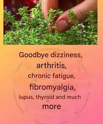 Put raw cubed beef in a slow cooker with these 3 ingredients. You won't  believe how good it tastes.. Full recipe