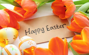 Happy easter bunny images free download | easter bunny pictures 2021. Free Photo Happy Easter Card Easter Greeting Free Download Jooinn