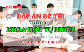 Trong đó, số lượng thí sinh tự do là 41.994 (chiếm 4,13%); Y T6em1o5nybhm