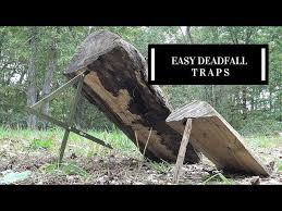 Image result for deadfall trap