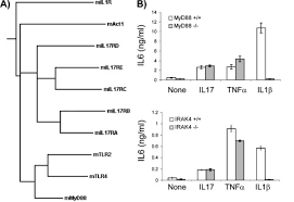 Wong tung & partners is an international architecture, planning and design firm established in hong kong in 1963. Act1 Adaptor Protein Is An Immediate And Essential Signaling Component Of Interleukin 17 Receptor Journal Of Biological Chemistry