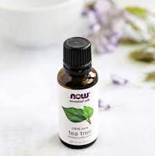 Diy Aromatherapy Shower Tablets Helloglow Co Tea Tree Oil For Acne Oils For Dandruff Essential Oils