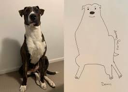 Learn how to draw evil dog pictures using these outlines or print just for coloring. Person Draws Hilariously Simplistic Photos Of Their Dogs And Went Completely Viral