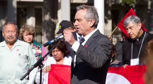 Robert F Kennedy Jr Baum Hedlund Co Counsel