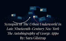 Synopsis of The Urban Underworld in Late Nineteenth-Century by sara gilstrap 
