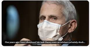 Judith Nowak (@JudithNowak)