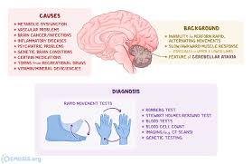 Image result for Cerebellar Function Test