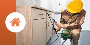 We used a large company before we started using r & r pest control and we kept having problems and had to wait days to get them to come back out to spray. Home R R Pest Control