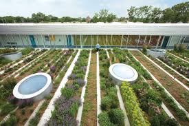 Wonderful Rooftop Garden Design For Home That Enchanting Snapshotlite Com Roof Garden Rooftop Garden Sustainable Landscaping