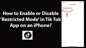 Restrictions turn off/on in iphone ipad ipod How To Enable Or Disable Restricted Mode In Tik Tok App On An Iphone Youtube