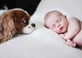 Sweet Portrait Of A Newborn Baby Girl And Her Dog Baby Pictures Newborn Newborn And Dog Newborn Pictures