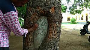 Maybe you would like to learn more about one of these? Owl In Tree Hole Drawing Youtube