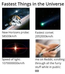 Pin By Charlie K On Memes Furry Meme Furry Freaking Hilarious