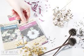 Check spelling or type a new query. The Best Diy Seed Starting Mix The Hip Homestead