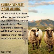 Kurbanımı vekalet vermediğim halde kesmişler, ne yapmam lazım? Kurban Vekaleti Verilirken Ne Denir Kurban Vekaleti Nasil Alinir Verilir Diyanet E Gore Kurban Vekaleti Hukmu Galeri Fikriyat Gazetesi