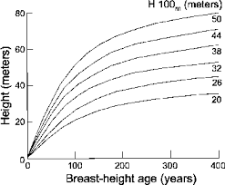 2 Site Index Or Age Versus Height Curves For Douglas Fir